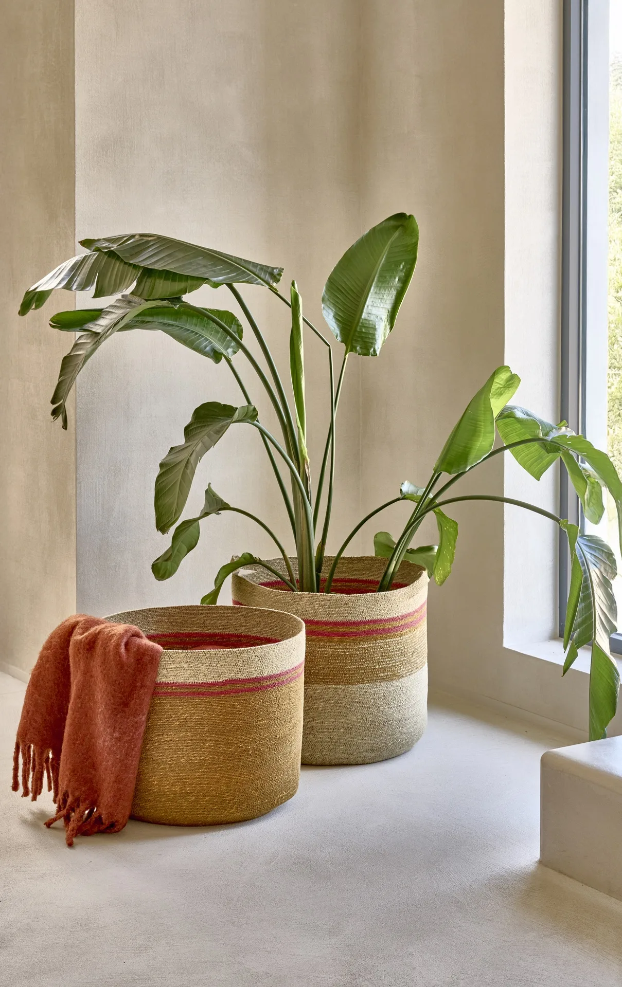 Cestos de fibra con una planta y una manta naranja junto a la ventana Cestos de fibra con una planta y una manta naranja junto a la ventana